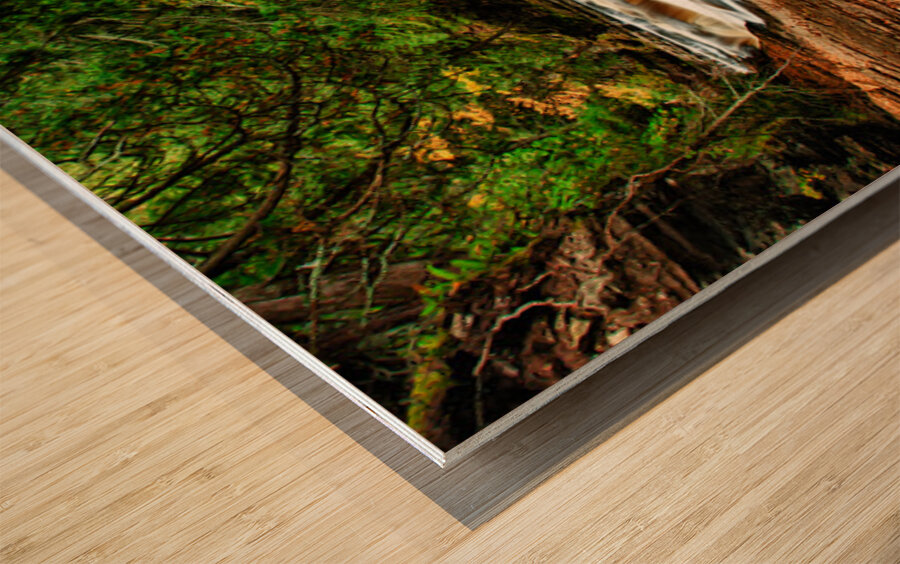 Presque Isle River Michigan Wood print