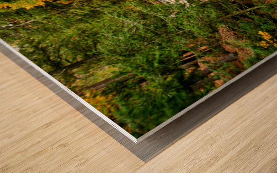 Presque Isle River Michigan Fall Wood print