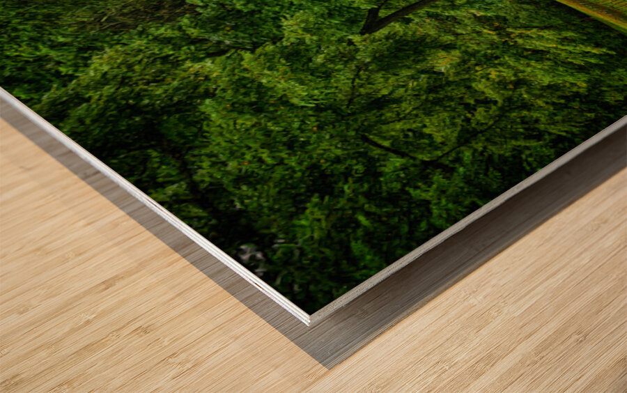 Tennessee Farm Country Wood print