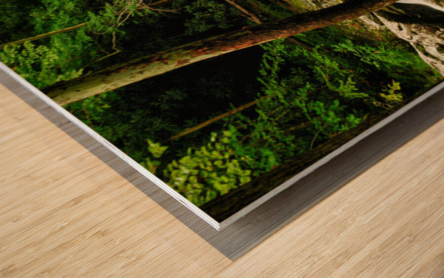 Smoky Mountain Stream Tennessee Wood print