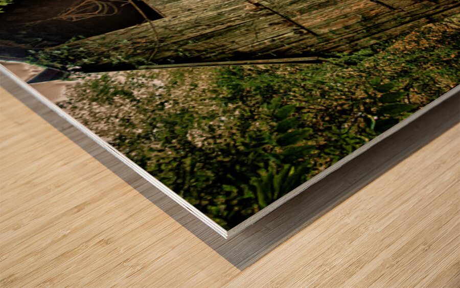 Tennessee Rustic Barn Wood print