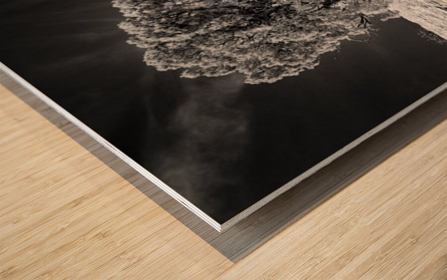 Weathered Juniper in Arches National Park Wood print