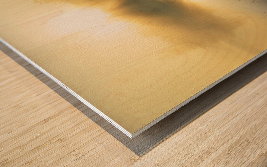 Boundary Waters Sunrise Wood print