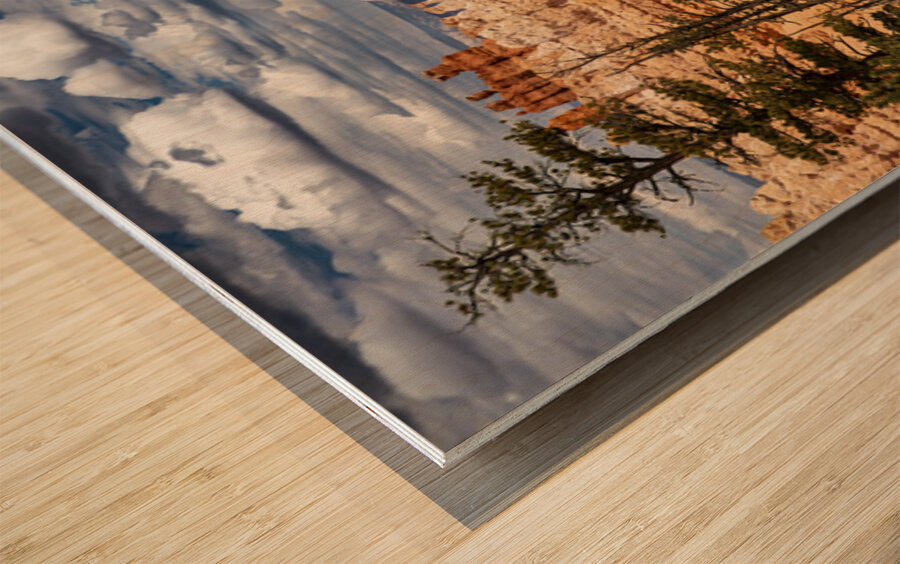 Bryce Canyon National Park Vista Wood print