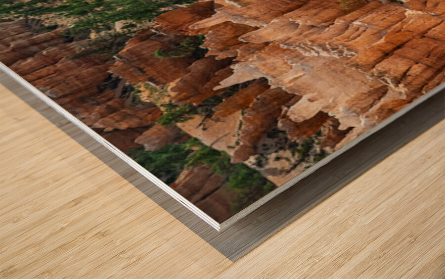 Bryce Canyon National Park Funnel Wood print