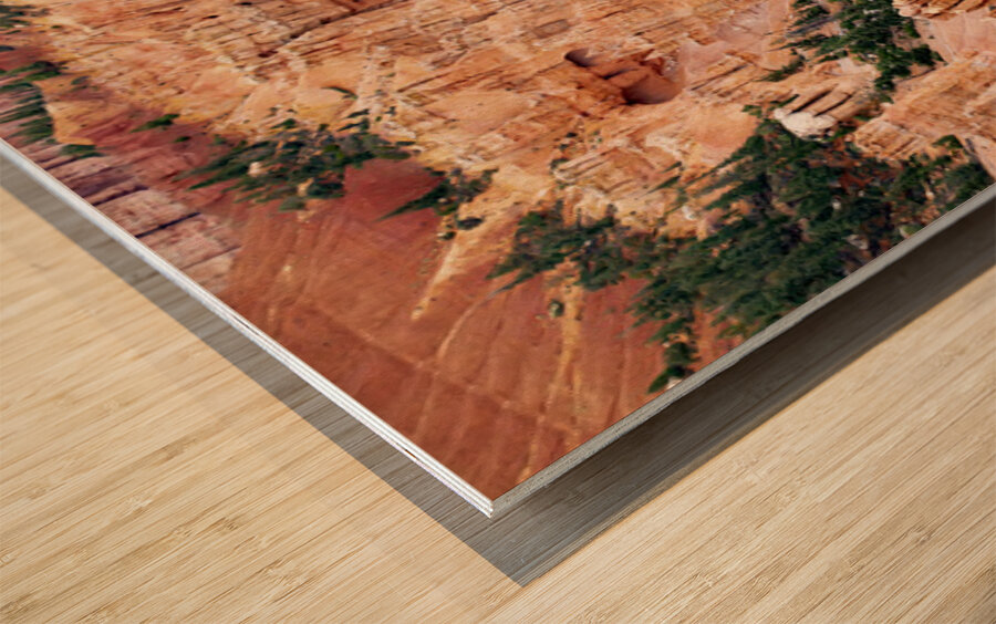 Bryce Canyon National Park Canyon Wood print