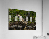 DSC07274 Acrylic Print