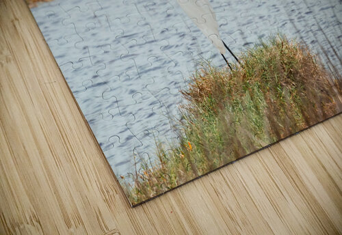 DSC08324 Erin Rotne Photography puzzle