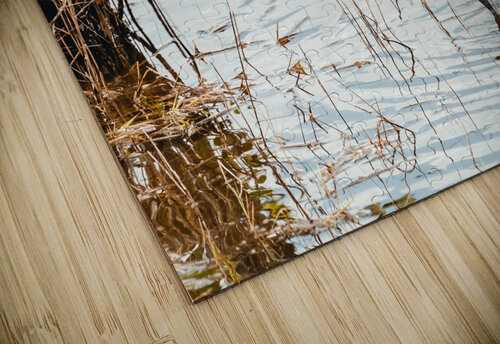 DSC07991 Erin Rotne Photography puzzle