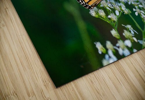 DSC08001 Erin Rotne Photography puzzle