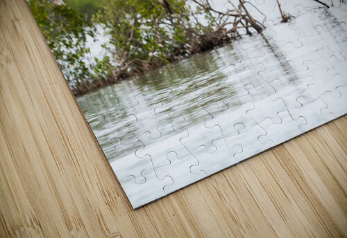 DSC07263 Erin Rotne Photography puzzle
