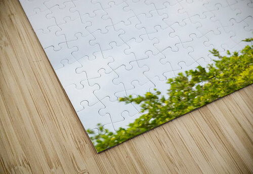 DSC07456 Erin Rotne Photography puzzle