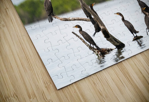 DSC07294 Erin Rotne Photography puzzle