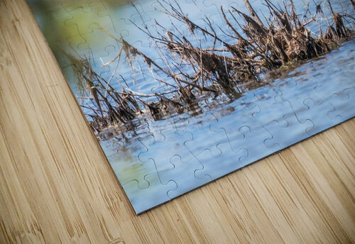 DSC06169 Erin Rotne Photography puzzle
