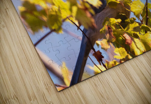 DSC04159 Erin Rotne Photography puzzle