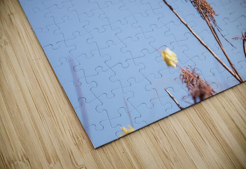 DSC04122 Erin Rotne Photography puzzle