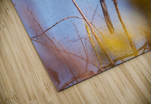 DSC04055 Erin Rotne Photography puzzle