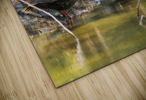 DSC05456 Erin Rotne Photography puzzle