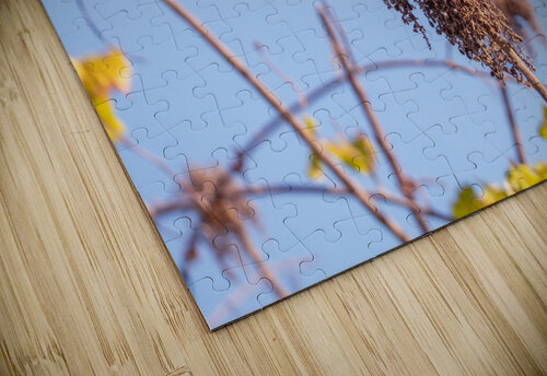 DSC04143 Erin Rotne Photography puzzle