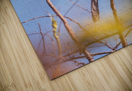 DSC04095 Erin Rotne Photography puzzle