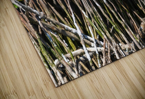 DSC06144 Erin Rotne Photography puzzle