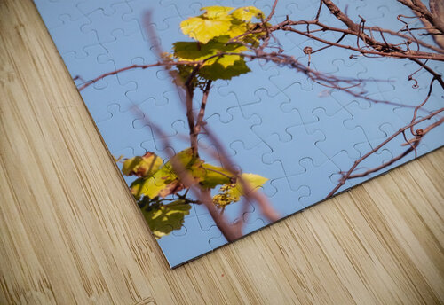 DSC04008 Erin Rotne Photography puzzle