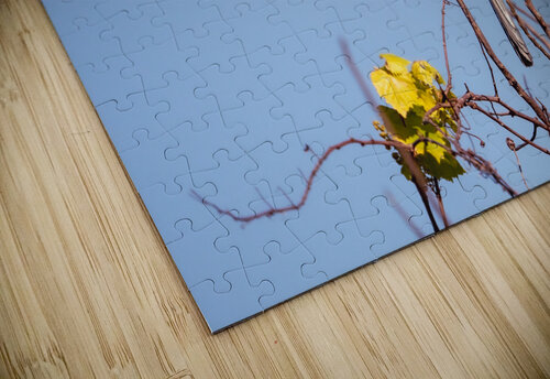 DSC04000 Erin Rotne Photography puzzle