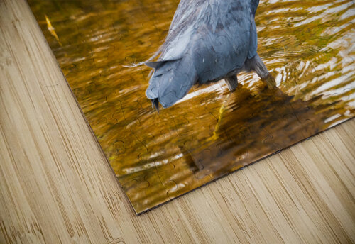 DSC06958 Erin Rotne Photography puzzle