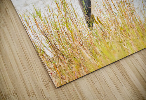 DSC06990 Erin Rotne Photography puzzle