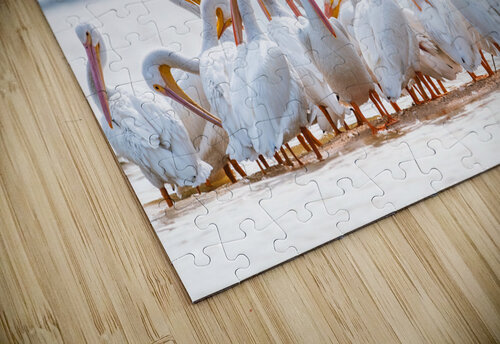 DSC02229 Erin Rotne Photography puzzle