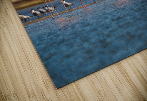 DSC07610 Erin Rotne Photography puzzle
