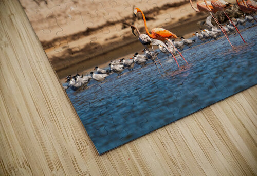 DSC07644 Erin Rotne Photography puzzle