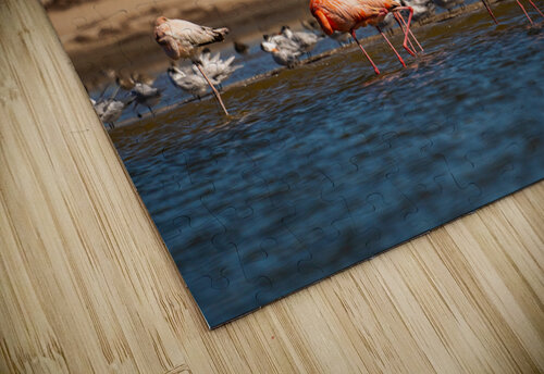 DSC07476 Erin Rotne Photography puzzle