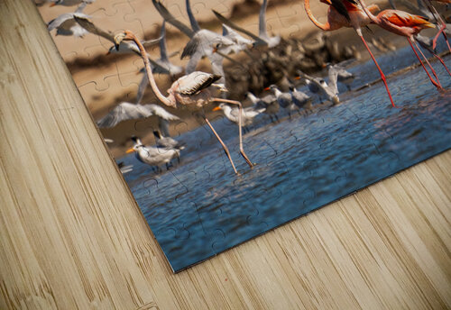 DSC07620 Erin Rotne Photography puzzle