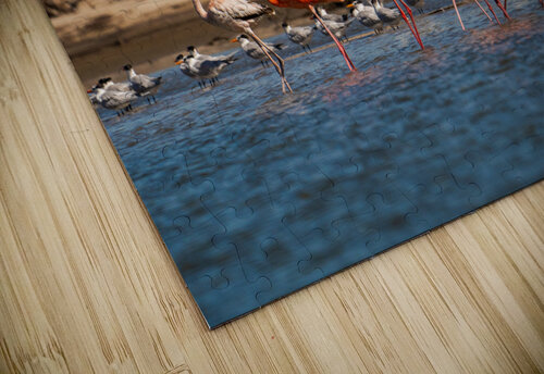 DSC07635 Erin Rotne Photography puzzle