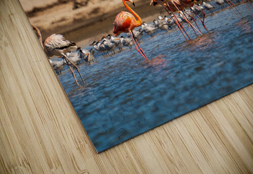 DSC07654 Erin Rotne Photography puzzle