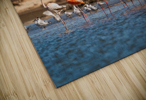 DSC07632 Erin Rotne Photography puzzle