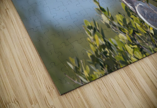 DSC04488 Erin Rotne Photography puzzle