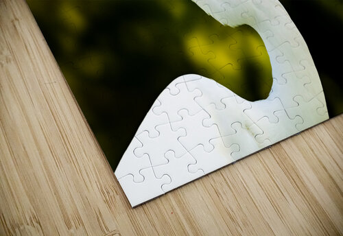DSC07911 Erin Rotne Photography puzzle