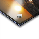 splash 2 Acrylic print