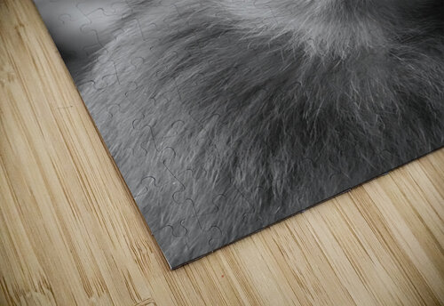 Greedy Friend- Moroccan Monkey Snjezana puzzle