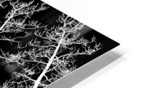 See me HD Metal print