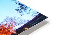 Falling In Love Again HD Metal print