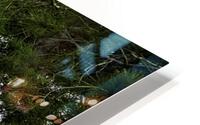 Forest Dreams  Impression metal HD
