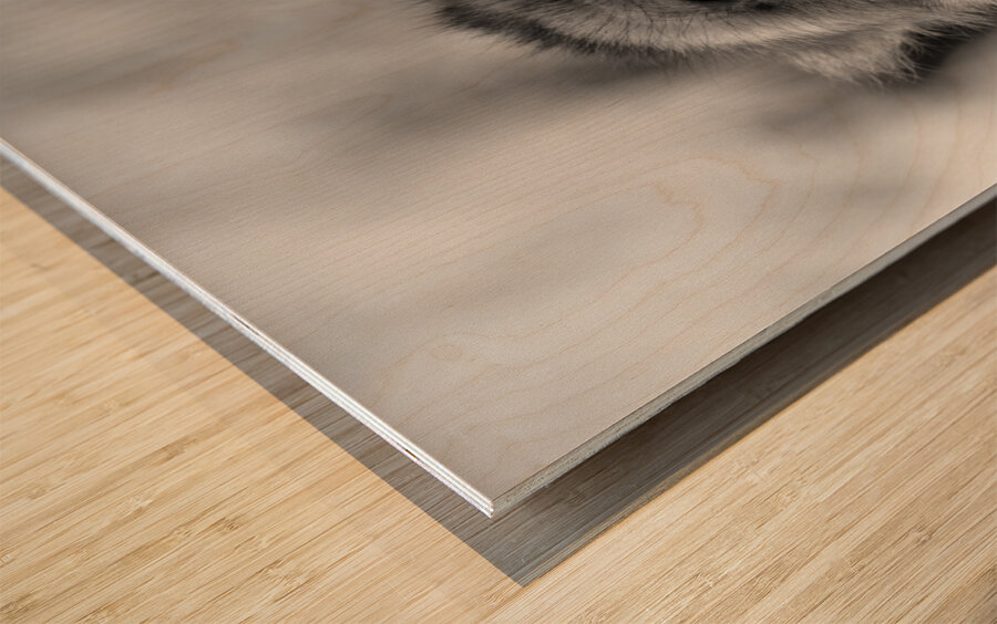 Greedy Friend- Moroccan Monkey Wood print