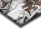 Winter Deer in Snow - Wasatch Benches - Salt Lake Acrylic print