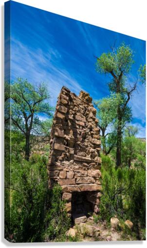 old chimeny nine mile Canvas Print