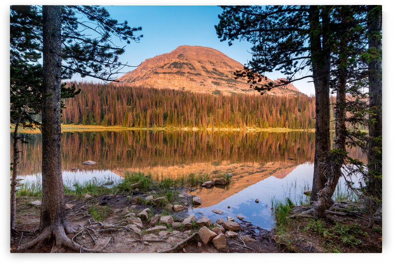 Bald Mountain Reflected in Mirror Lake - Uinta Mountains - Utah by Gary Whitton