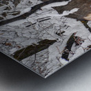 Winter Deer in Snow - Wasatch Benches - Salt Lake Metal print