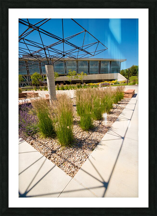 xeriscape uou4 Picture Frame print